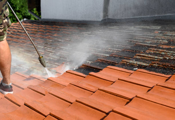 Best Pressure Washing Patio  in , TX